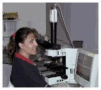 Micro Analysis